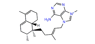 Gelasine B